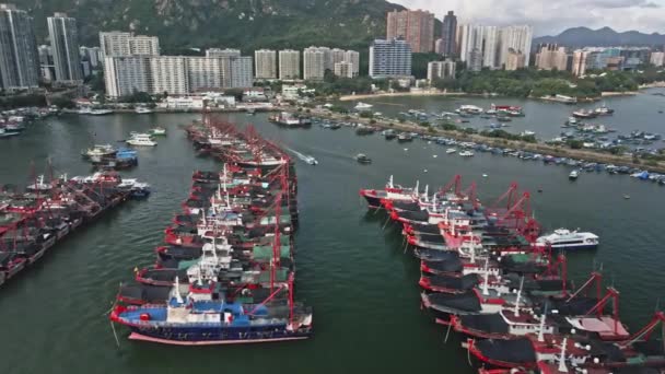 Industrial Ship Structure Port Dock Acting Typhoon Shelter China Aerial — Vídeo de Stock