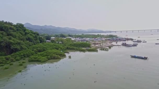 Dynamic Aerial Shot Lake Fishing Village Lau Fau Shan New — Video Stock