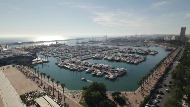 Orbiting Alicante Recreation Harbor Sailing Boats Moored Marina Spain — Video