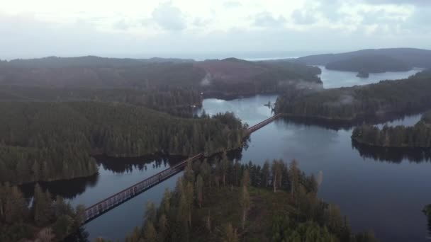 Aerial View Beautiful Oregon Lake Train Trestle Bridge Crossing Lake — ストック動画