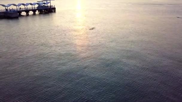 Dynamic Aerial Footage Swimming Man Coming Nearby Jetty Sea While — Vídeo de Stock
