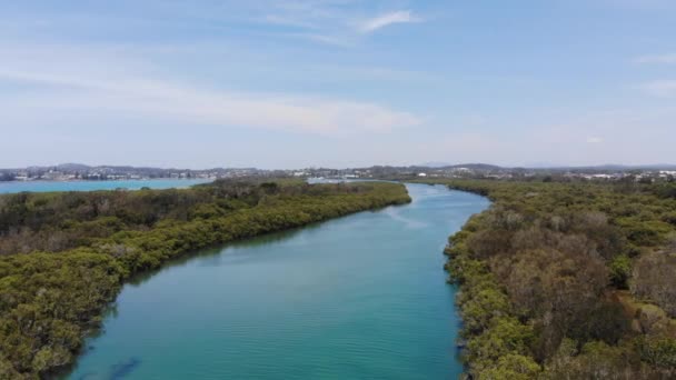 在美丽的夏日里 澳大利亚Woregore自然保护区的黑斯廷斯河运河上空 两侧都有树木和绿林 — 图库视频影像