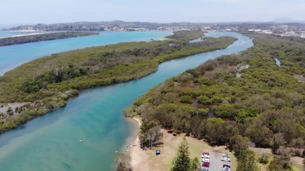 Descending Pelican Island Hastings River Woregore Nature Reserve Australia Aerial — ストック動画