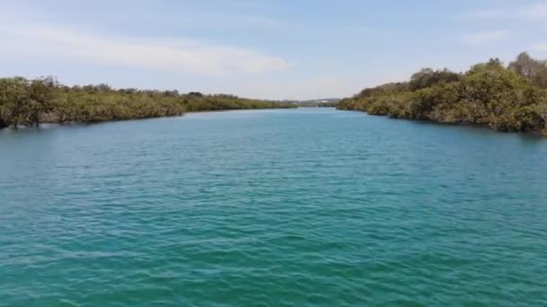 Volar Bajo Alta Velocidad Sobre Agua Azul Clara Del Río — Vídeos de Stock