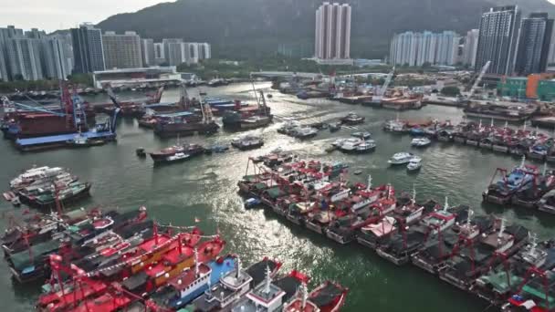 Vessel Industrial Port Tuen Mun Hong Kong Aerial Drone View — Video