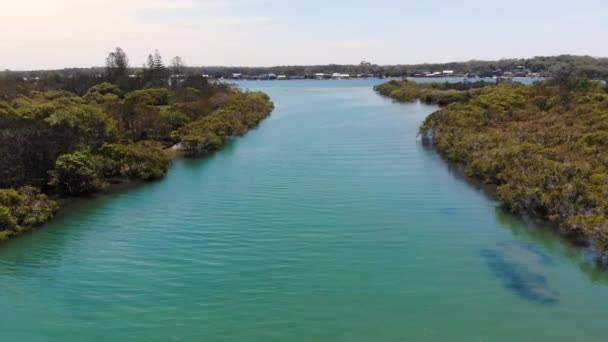 Beautiful Aerial View Green Clear Water Hastings River Forest Woregore — Stockvideo