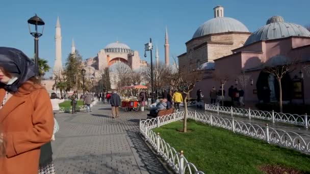 Istanbul January 2022 Tourists Famous City Square Called Sultanahmet Historical — 비디오