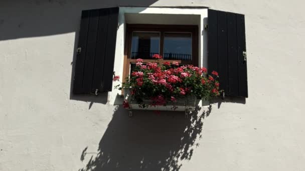 Flower Decorated Window Traditional German Building — Stockvideo