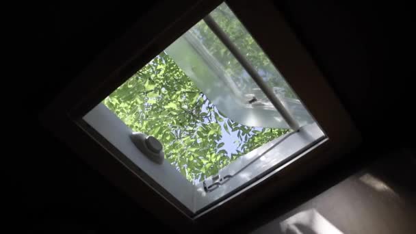 Closing Insect Mosquito Net Ceiling Window Prevent Insects Other Bugs — Stock Video