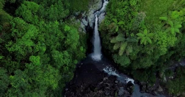 Drone Shot Idyllic Waterfall Jungle Trees Grass Morning Kedung Kayang — Video