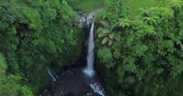 Drone Coulissant Chute Eau Idyllique Dans Jungle Avec Des Arbres — Video