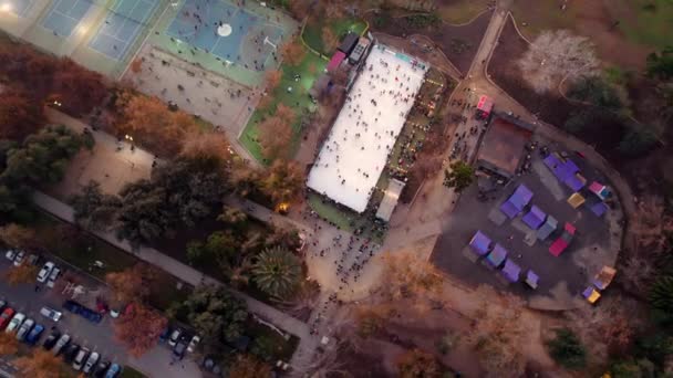 Spiral Aerial View Sports Fields Skating Rink Ice Rink Trees – Stock-video