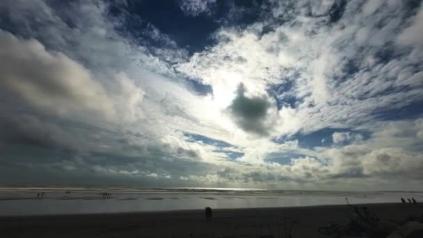 Strand Vasi Rajodi Strand Surfen Auf Wellen Timelaps Indien Mumbai — Stockvideo