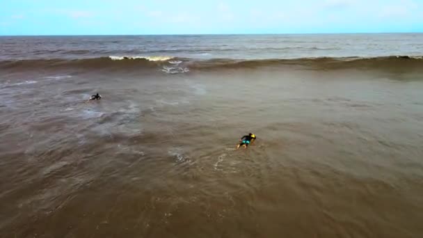 Vasi Beach Rajodi Daone Hot Beach Camera Kippen Auf Felsen — Stockvideo
