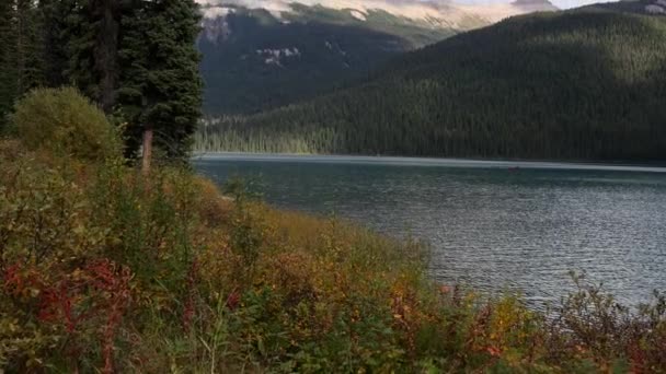 Bellissimo Fiume Vicino Alle Montagne Neve Banff National Park Banff — Video Stock