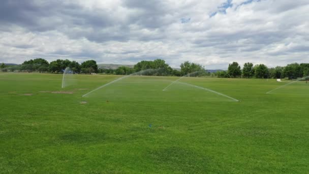 Drönarflygning Saknar Sprinklers Lokal Park — Stockvideo
