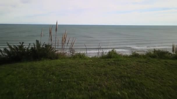 Survoler Bord Sur Plage Sable Noir Raglan Jour Des Hivers — Video