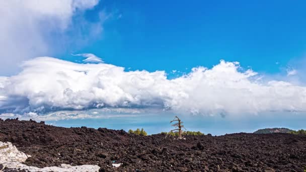 White Fluffy Clouds Rolling Landscape Mount Etna Catania Italy Time — Vídeo de stock