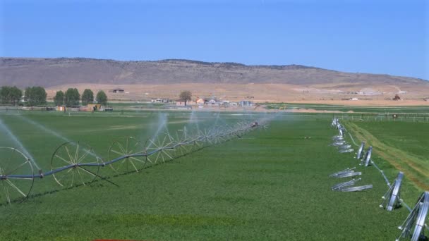 Large Irrigation System Watering Huge Green Field Crops — стоковое видео