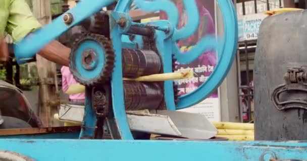 Suikerriet Machine Onttrekken Sap Kleine Bedrijven — Stockvideo