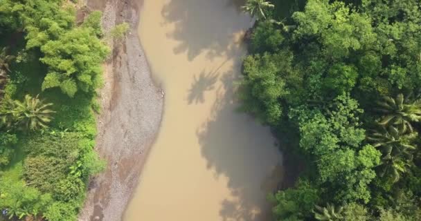 Big River Brown Water Surrounded Dense Trees Coconut Trees Rice — Vídeo de Stock
