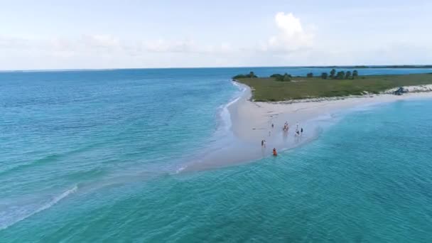 Fantastisk Aeriell View Grupp Politik Walking Vit Sandstrand Cayo Agua — Stockvideo