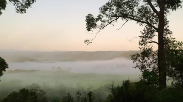 Время Раннего Утреннего Тумана Окутывающего Долину — стоковое видео