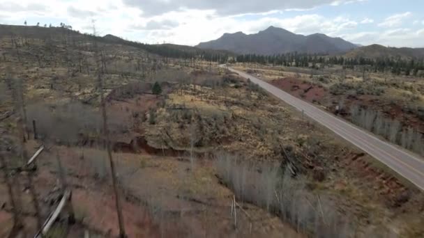 Drone Tracking Forward Trees Remote Mountain Road Pike National Forest — Stockvideo