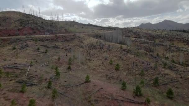 Veduta Aerea Veicolo Che Percorre Una Remota Strada Montagna Nella — Video Stock