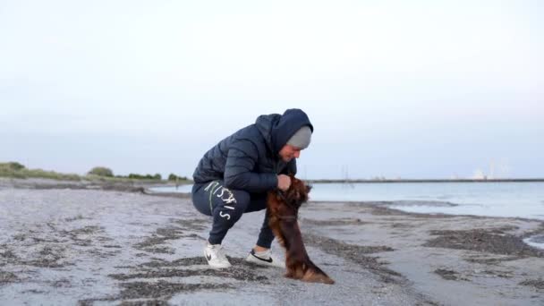 Man Playing Dachshund Beach Stick — Video