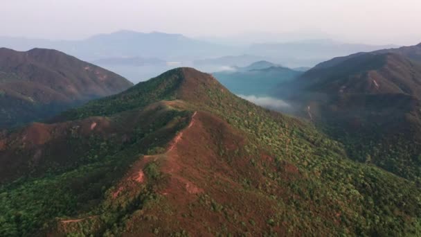 Aerial Shot Forest Mountain Lui Shek Sai Kung Hong Kong — Video Stock