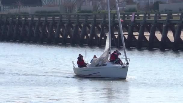 Students Sailboat Course Class Deauville Normandy France Tracking Shot — Stockvideo