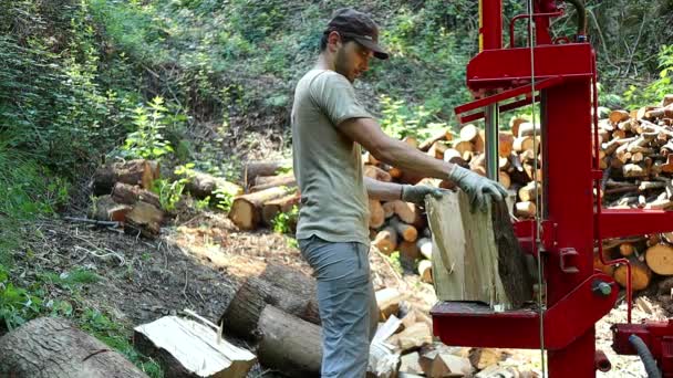 Man Uses Wood Splitter Carve Fresh Timber Logs — Stock Video