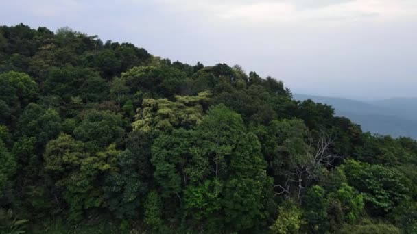 Uma Vista Aérea Mon Jam Norte Chiang Mai Tailândia Onde — Vídeo de Stock