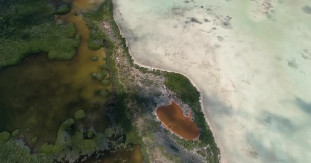 マングローブの森の上からの眺めは 自然保護区 ターコイズブルーの水と湿地 ロークを明らかにします — ストック動画