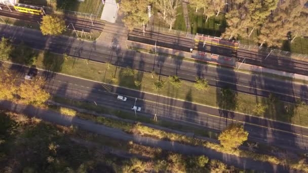 Carros Ônibus Dirigindo Estrada Província Buenos Aires Argentina Cima Para — Vídeo de Stock