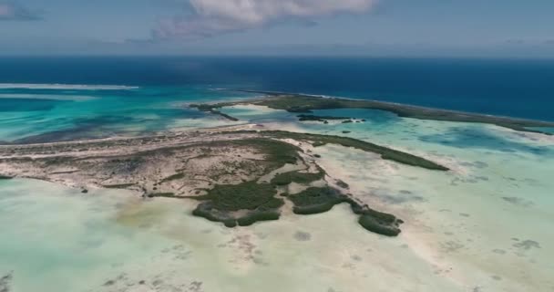 Mangrove Forest Reveal Nature Reserve Turquoise Water Wetland Los Roques — Vídeos de Stock