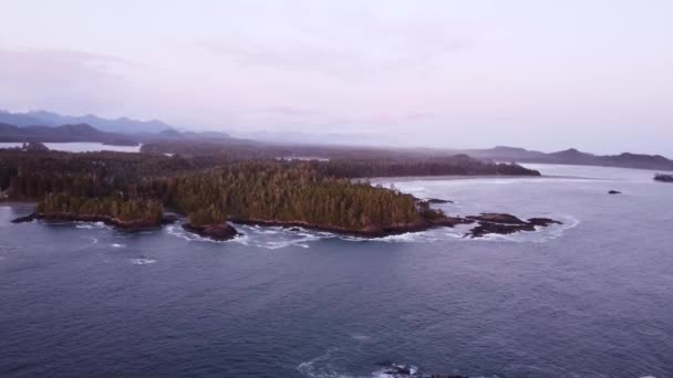 Video Panorámico Del Dron Sobre Océano Junto Una Costa Boscosa — Vídeos de Stock