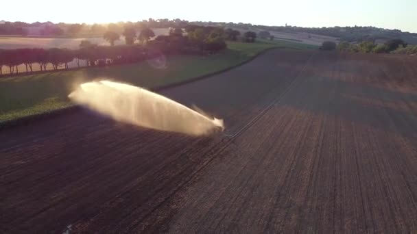 Circling Large Commercial Sprinkler Blasting Water Ploughed Field — Stockvideo