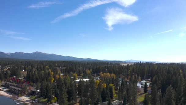 Летний Полет Над Лесом Маккол Айдахо Голубым Небом — стоковое видео