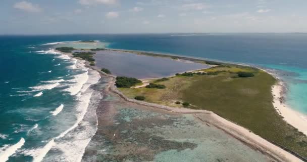 Luftaufnahme Blaues Meer Wellen Und Grüne Tropische Insellandschaft Los Roques — Stockvideo