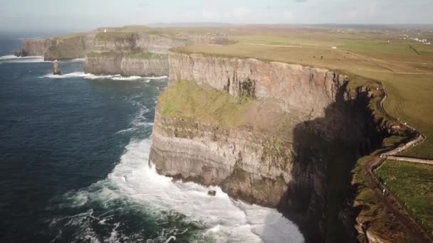 Cliffs Moher Ireland Huge Height Compared Atlantic Ocean Drone Aerial — Vídeo de Stock