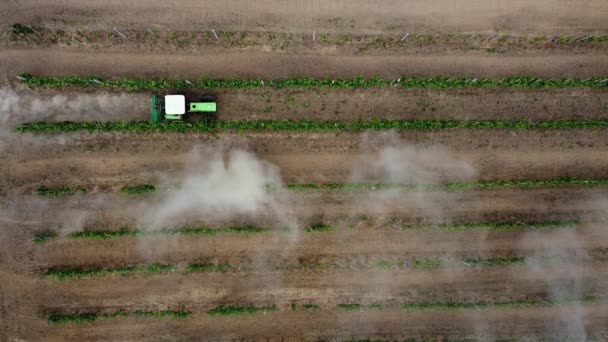 Kompaktní Traktor Obdělává Půdu Mezi Stávajícími Vinicemi Vinice — Stock video