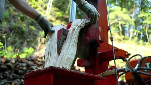 Close Shot Timber Being Sliced Using Hydraulic Log Splitter — Stockvideo