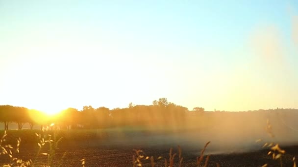 Looking Golden Haze Sun Rays Hit Water Arc Sprinkler — Stok video