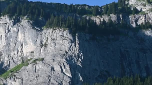 Panorámica Una Cordillera Los Alpes Suizos Rocas Abetos Cielo Azul — Vídeo de stock