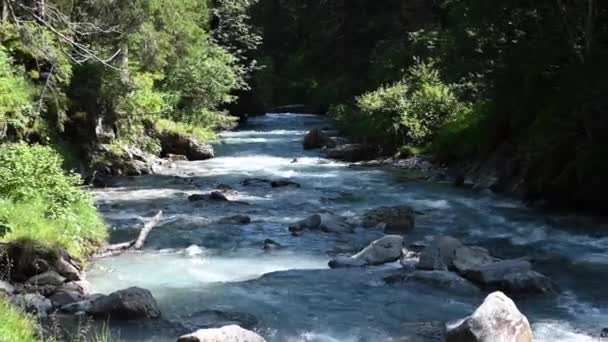 Rio Alpino Ambiente Natural Rochas Árvores Criam Sombras Wallis Suíça — Vídeo de Stock
