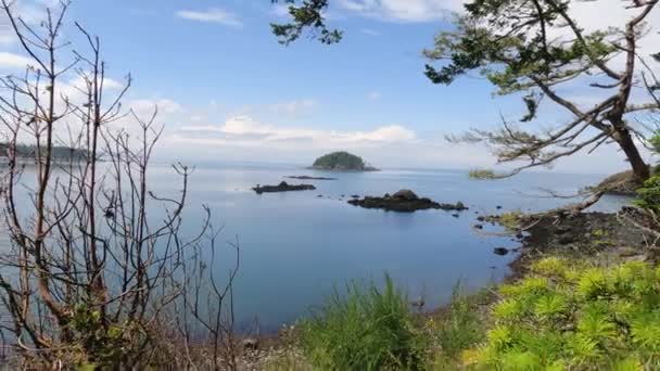 Fidalgo Adası Ndaki Yemyeşil Bir Pencereden Aldatma Adası Nın Görüntüsü — Stok video