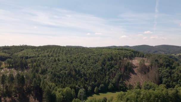 晴れた日にライン シーグ地方の丘を覆う広大な混合林 広角の空中飛行 — ストック動画