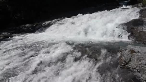 Espuma Blanca Río Muy Empinado Los Alpes Suizos Las Montañas — Vídeos de Stock